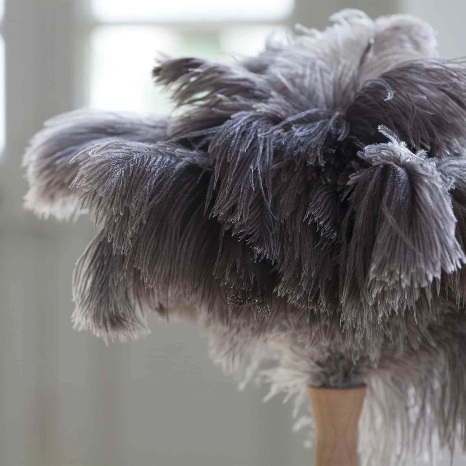 Andree Jardin Ostrich Feather Duster 2 Andree Jardin Ostrich Feather Duster - Image 2