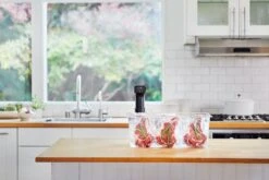 Anova Sous Vide Precision Cooker Pro -De Buyer Store AnovaPro CambroSteaks C 2