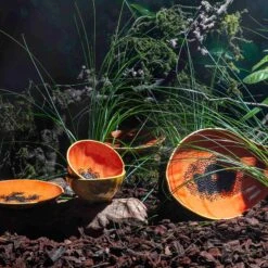 Bordallo Pinheiro Tropical Fruits Papaya Small Bowl, 14x14cm 5 Bordallo Pinheiro Tropical Fruits Papaya Small Bowl, 14x14cm -De Buyer Store DC0207BordalloPinheiroTropicalFruitsServingPlatter PapayaLifestyle