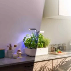 Veritable Classic Indoor Herb Garden -De Buyer Store HU0007VeritableClassicIndoorHerbGardenlifestyle3