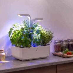 Veritable Classic Indoor Herb Garden -De Buyer Store HU0007VeritableClassicIndoorHerbGardenlifestyle4