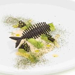 Silikomart Pesce Professional Food Mould -De Buyer Store SL0167SilikomartPesceProfessionalFoodMould2