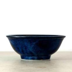 Blue Sakura Ramen Bowl 10 Blue Sakura Ramen Bowl -De Buyer Store Untitled 1 0003 2 bluesakuraramenbowlside jpg