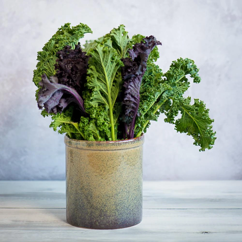 Lagoa Kitchen Utensils Jar 2 Lagoa Kitchen Utensils Jar - Image 2