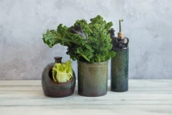 Lagoa Kitchen Utensils Jar 13 Lagoa Kitchen Utensils Jar -De Buyer Store lagoa utensil salt pig oil pourer