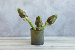 Lagoa Kitchen Utensils Jar 12 Lagoa Kitchen Utensils Jar -De Buyer Store lagoa utensils artichokes