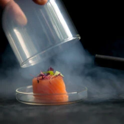 2 X Large Domed Glass Cloche - 11cm Dia -De Buyer Store salmon cloche gun 2